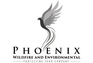 Phoenix Wildfire and Environmental Feature