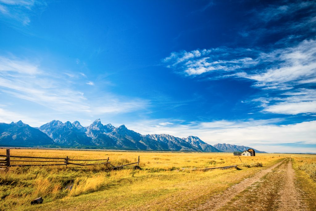 shutterstock_359916986
