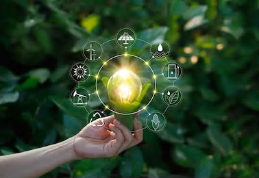 Strategic Business Planning - Winners, Losers, and Everything In Between - Planning for Sustainability 2
