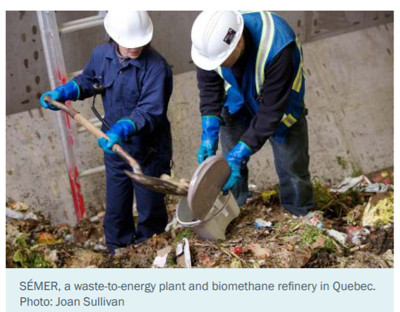 The Clean Fuel Standard – will it create jobs in Canada - Deidra Garyk 1