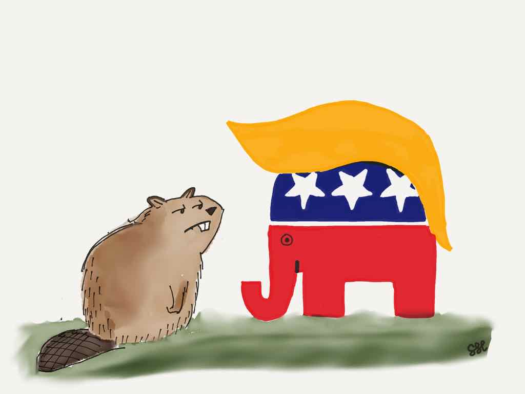 Evaluating My Trump Predictions from 2016 - Geoffrey Cann