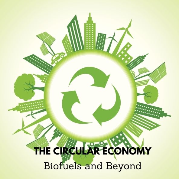 The Circular Economy- Image w Text
