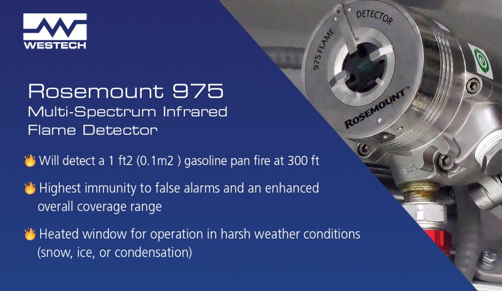 Rosemount 975