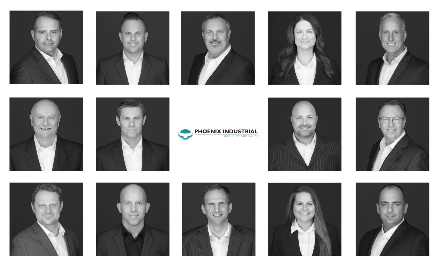 NEW WEBSITE LAUNCHED! Phoenix Industrial Group of Companies Have