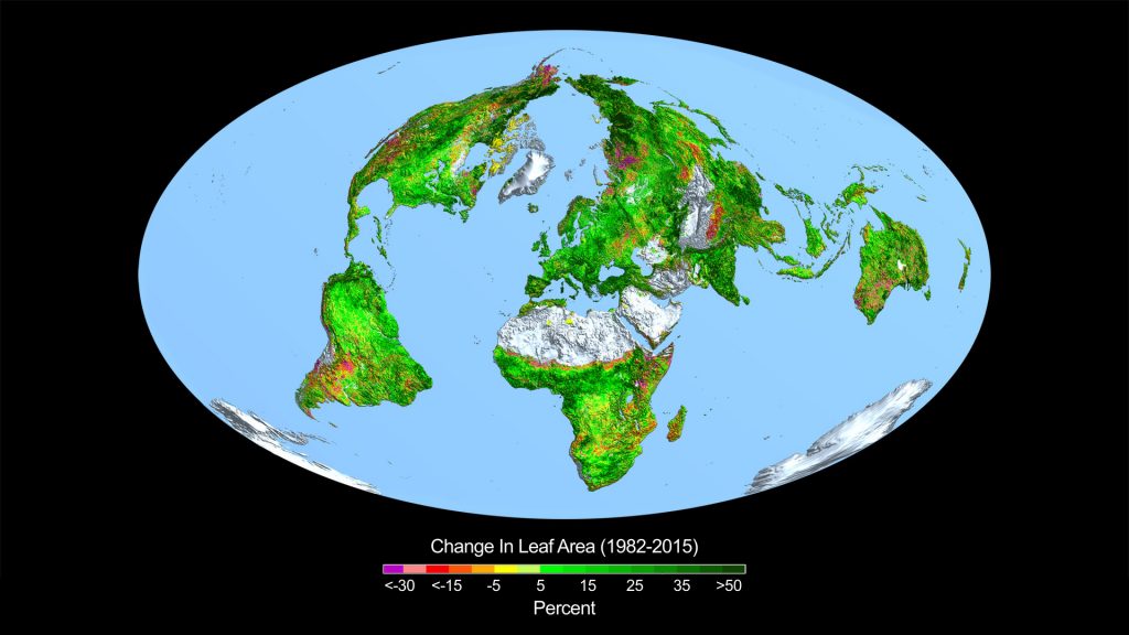 the irrefutable case for a fossil future 5