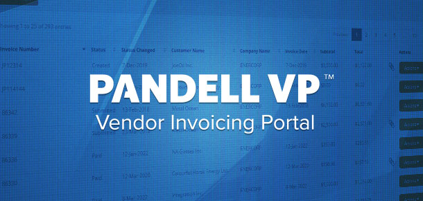 banner pandell vp software growth