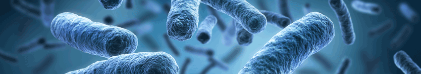 legionella cms 850x150