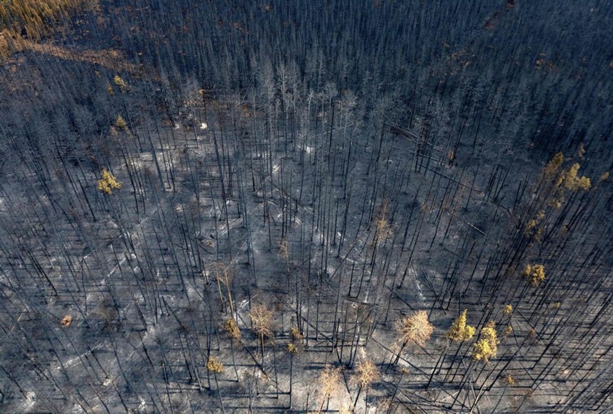 wildfires may 14 2023 1200x810