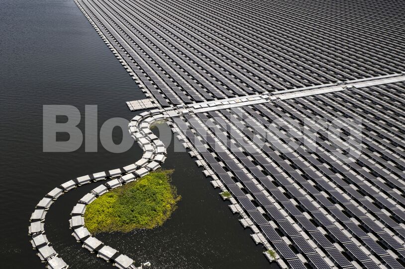 solar farms out at sea are clean energy’s next breakthrough 3