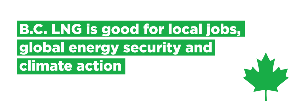 lng campaign landing page banners green 06