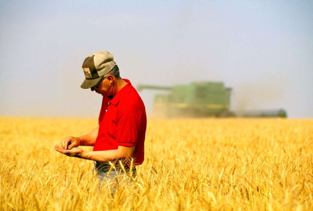 farmer in field 1200x810