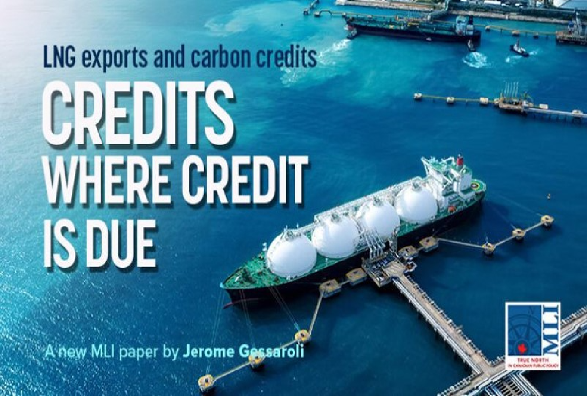 carbon credits mli 1200x810