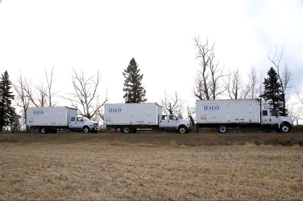 halo environmental problem solvers in protecting your assets 1