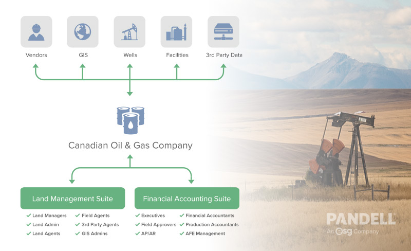 pandell energynowca 02