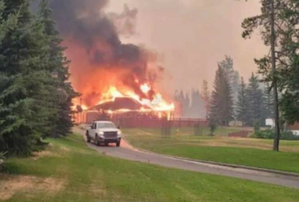 wildfire jasper 1200x810