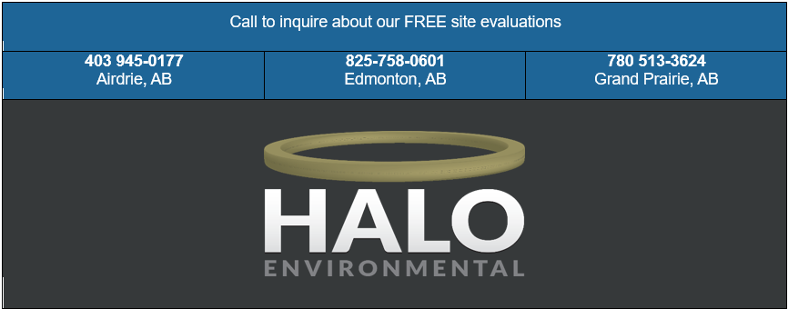 halo environmental footer 2025