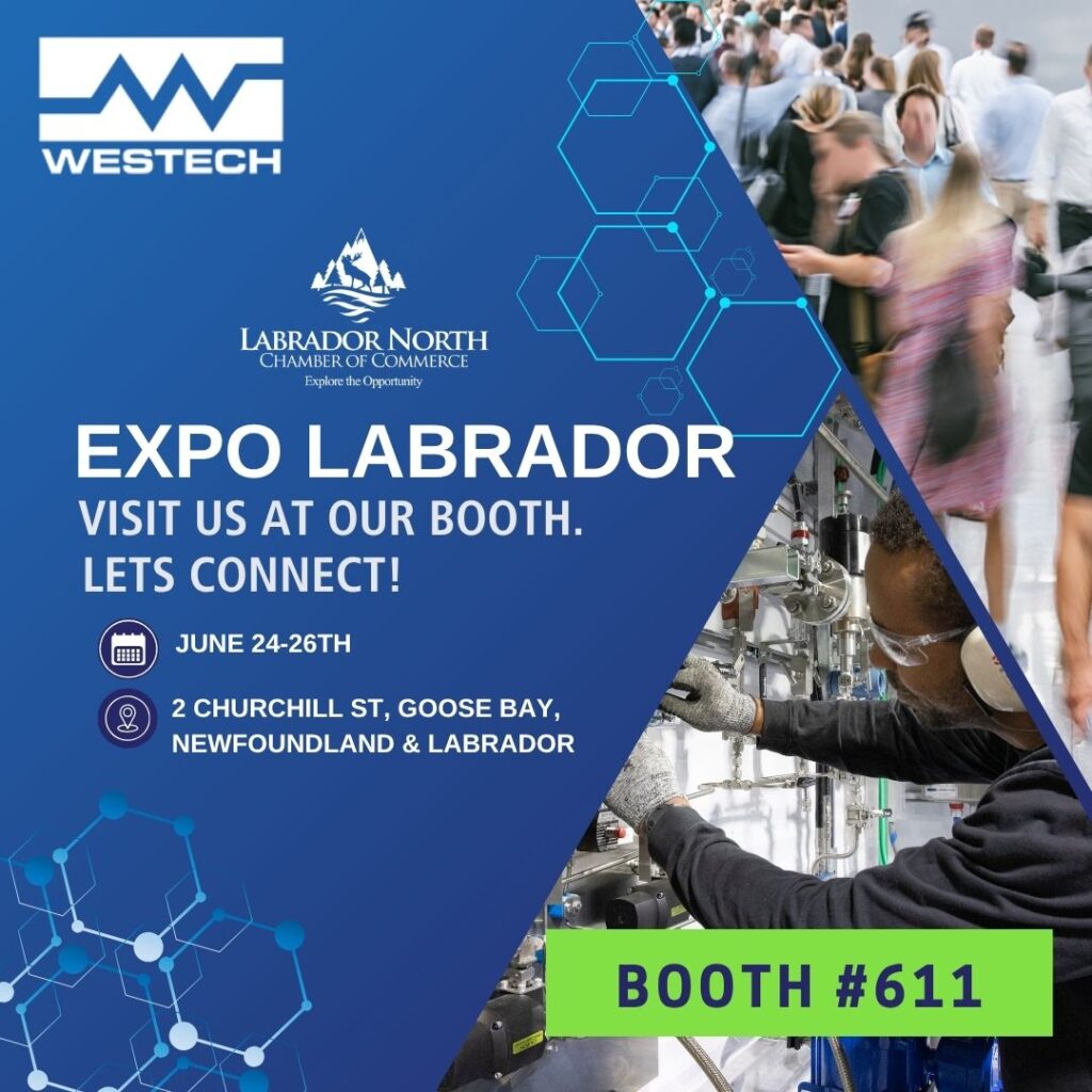 labrador expo