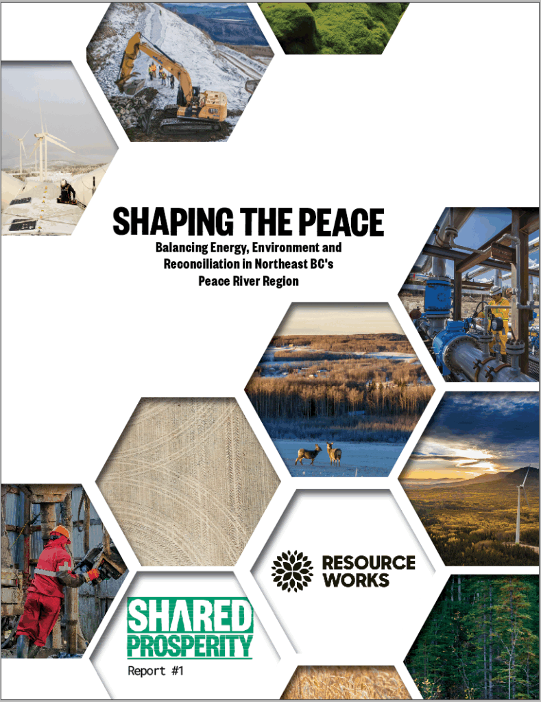 shaping the peace print cover