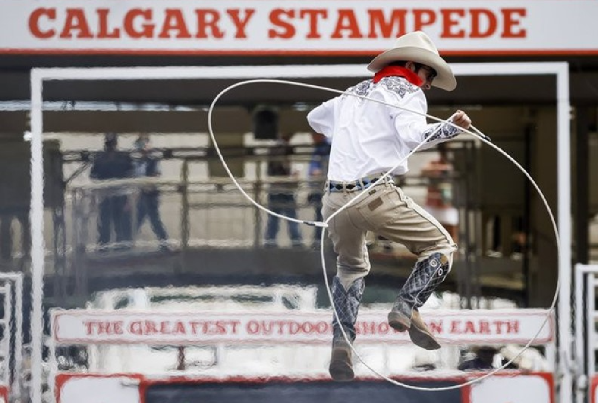 calgary stampede 1200x810