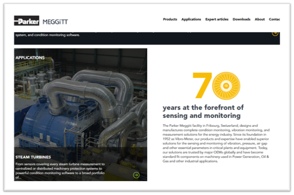 meggitt sensing steam turbines