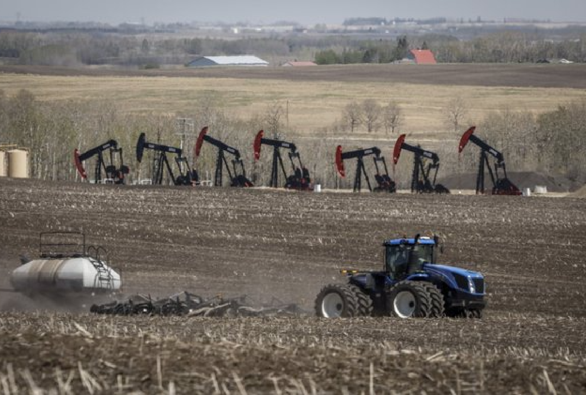 pumpjacks beside farmers field 1200x810