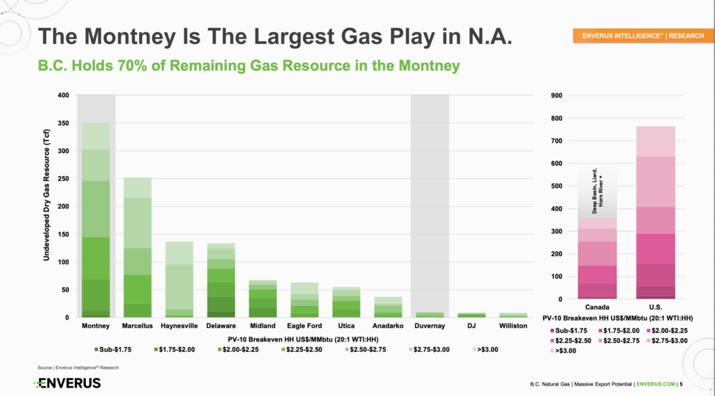 montgney comparision enervus