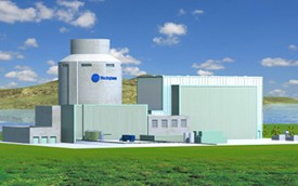 small modular reactors jim warren 2