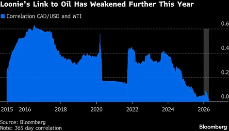 qw loonies link to oil has weakened further this year