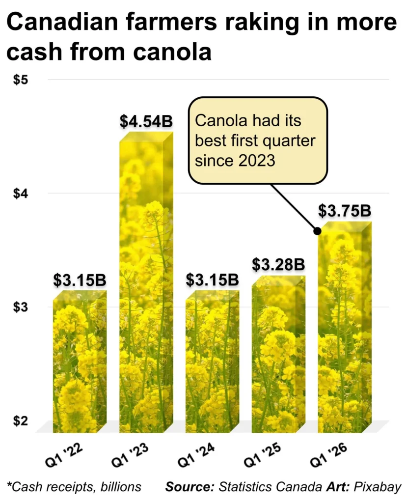 canola cash receipts billions 4