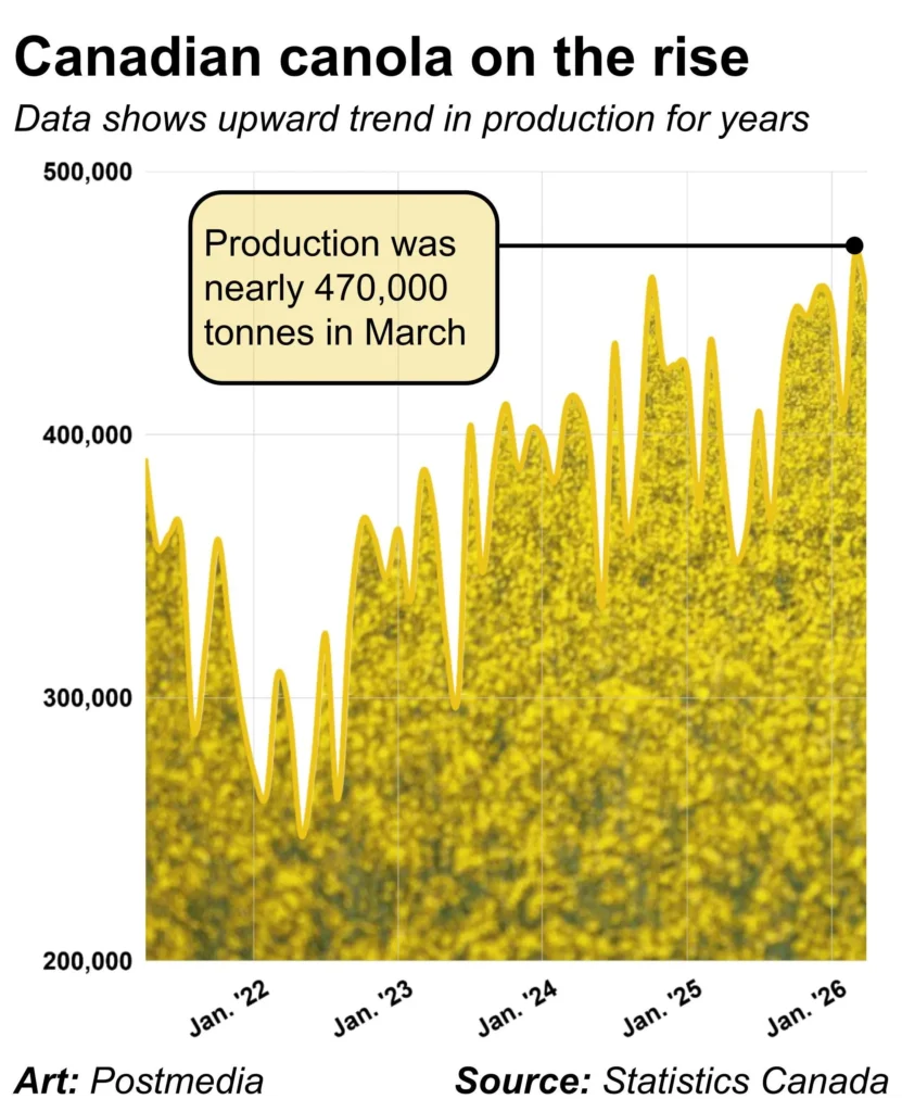 canola production on the rise 5