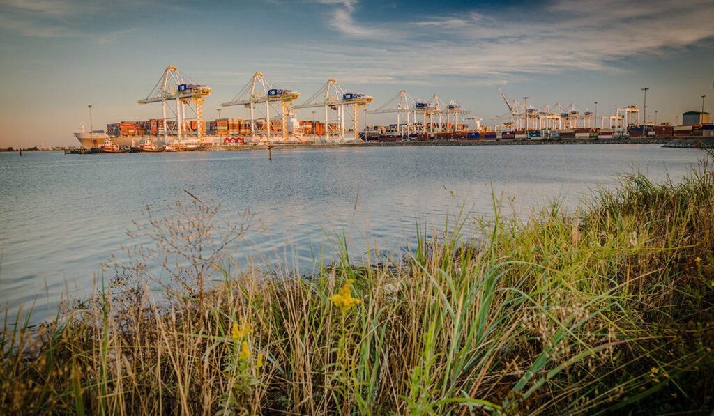 20260809 gct deltaport container terminal at roberts bank in delta bc