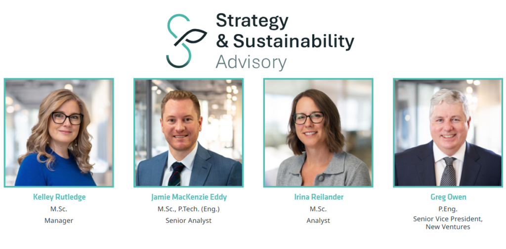 meet the team