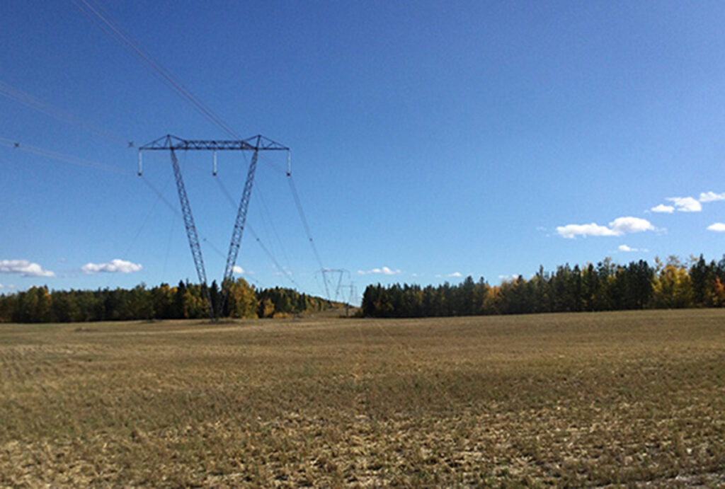 transmission lines running over a field and trees
