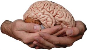 Hands+Brain